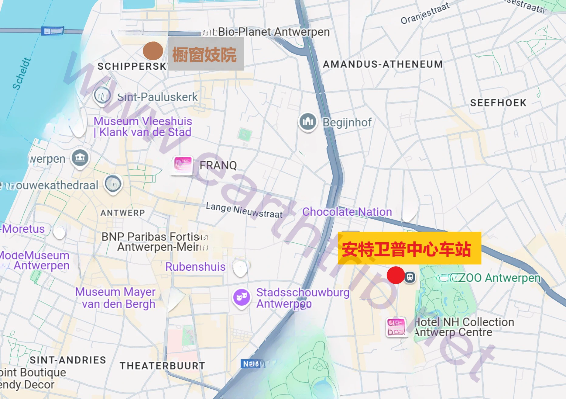安特卫普的橱窗妓院体验 尧都 2024.09