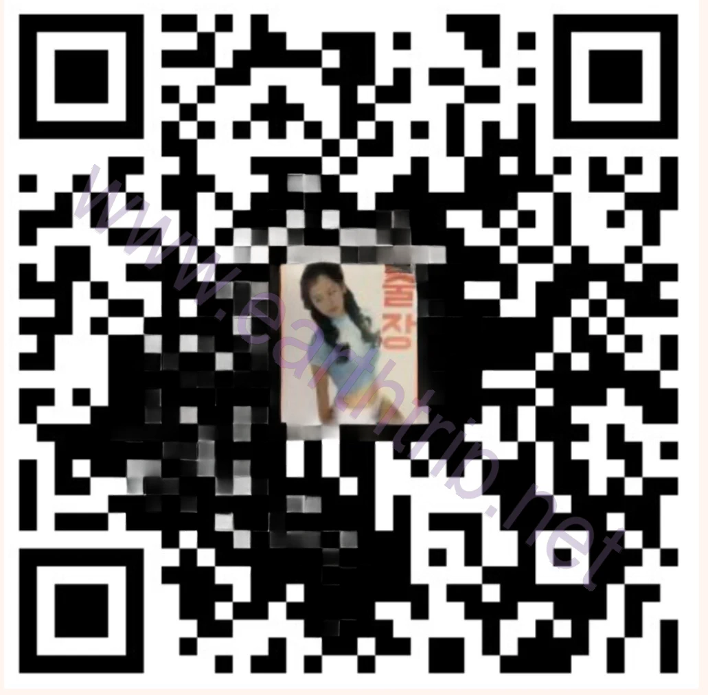 首尔伴游服务体验 蝎子 2024.07