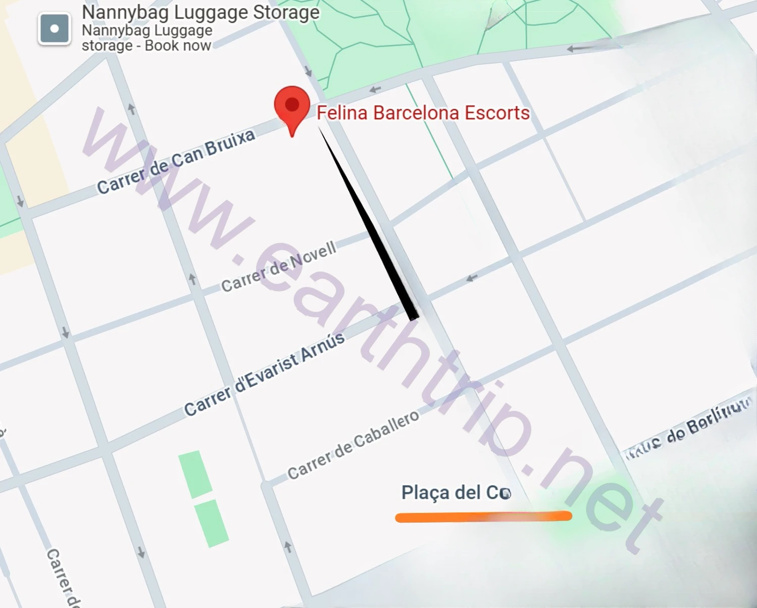 在巴塞罗那妓院Felina Barcelona大战巴西小姐 尧都 2024.10