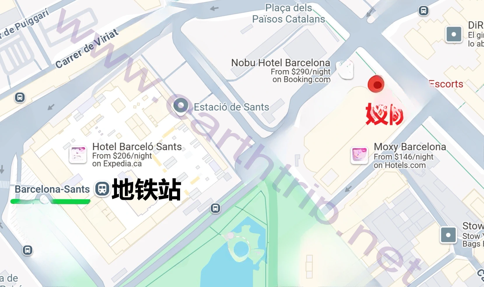 巴塞罗那妓院La Suite Barcelona Escort体验 尧都 2024.12