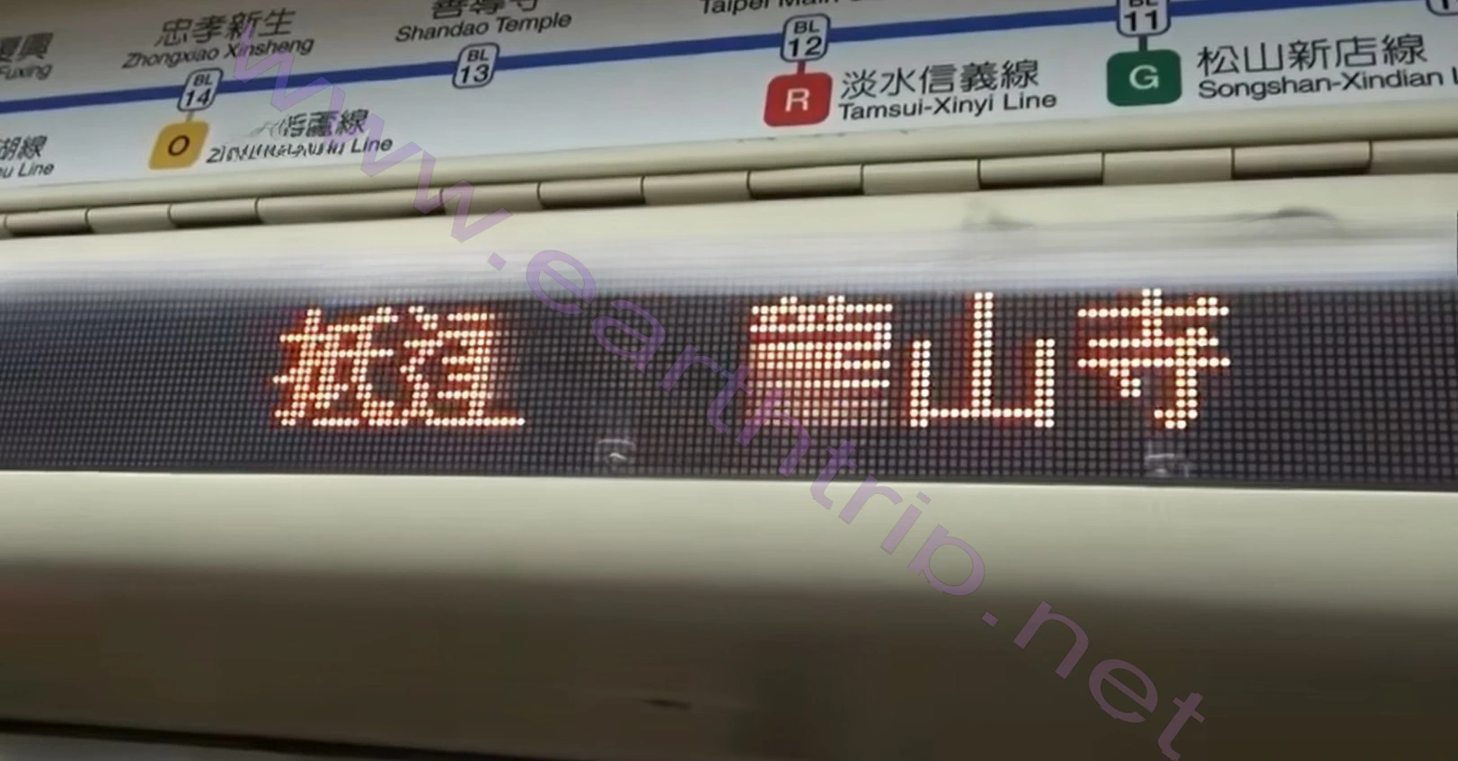 台北龍山寺的住家妓院体验 桑楚 2024.02