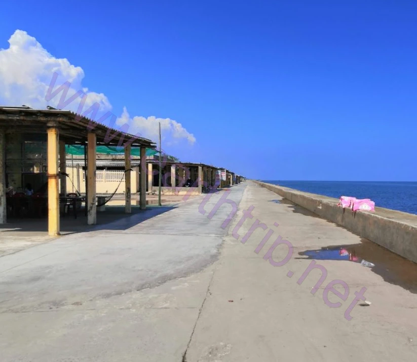 Nam Dinh 省 Thinh Long 海滩妓院群 Maera 2021.05
